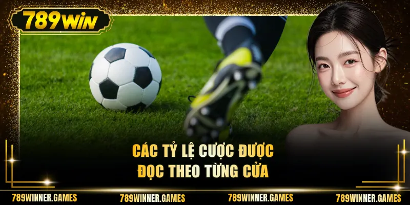 Các tỷ lệ cược được đọc theo từng cửa
