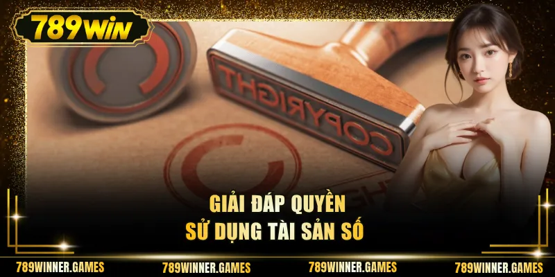 Giải đáp quyền sử dụng tài sản số