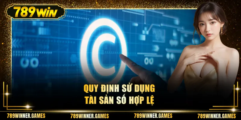 Quy định sử dụng tài sản số hợp lệ